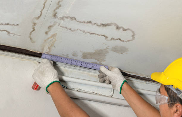 Reliable Mold Remediation contractor in Watchung, NJ by Water Damage Irwin